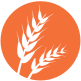 gluten